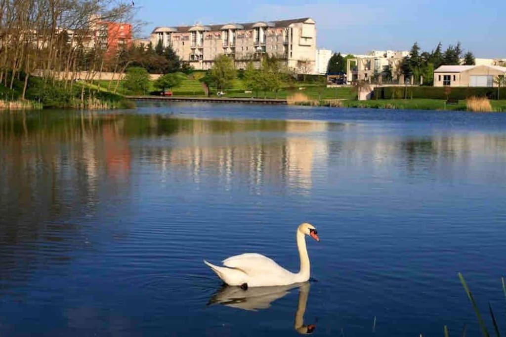 Tres Bel Appartement Entre Paris Et Disneyland Lognes Exterior photo
